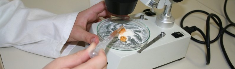 JoomlaWorks Simple Image Rotator