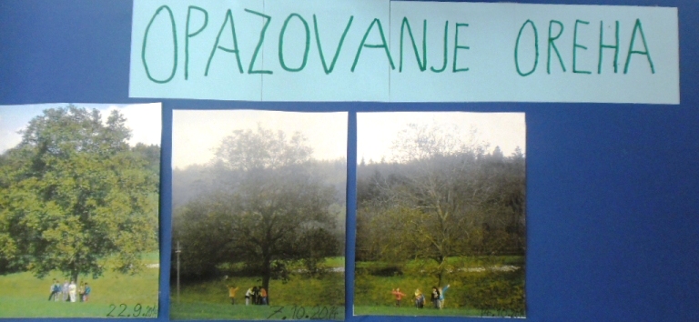 JoomlaWorks Simple Image Rotator JoomlaWorks Simple Image Rotator