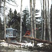 zag_l.jpg (11789 bytes)