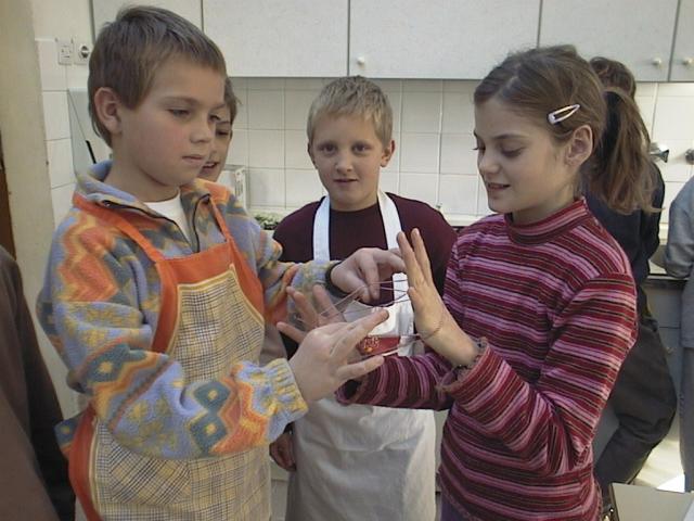 igra.JPG (49676 bytes)