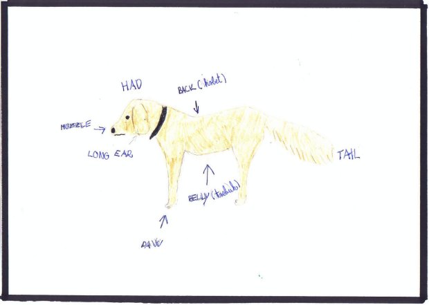 pes.JPG (21492 bytes)