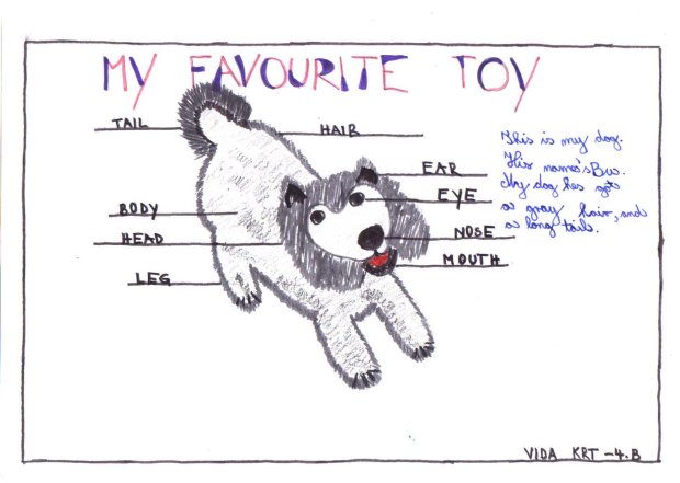 vida.JPG (39911 bytes)