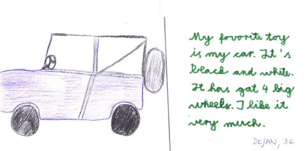 car.jpg (30024 bytes)