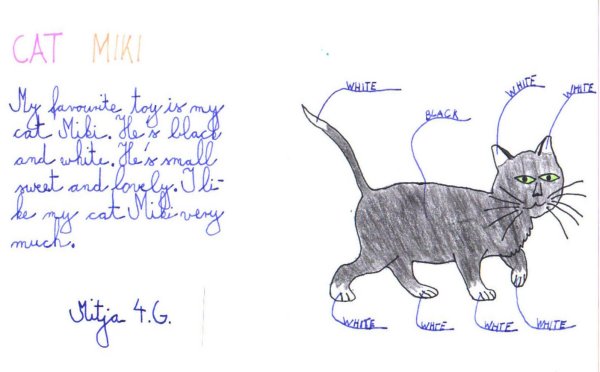 cat.JPG (33578 bytes)