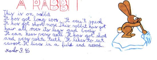 rabbit.JPG (29794 bytes)