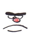 jezen / angry