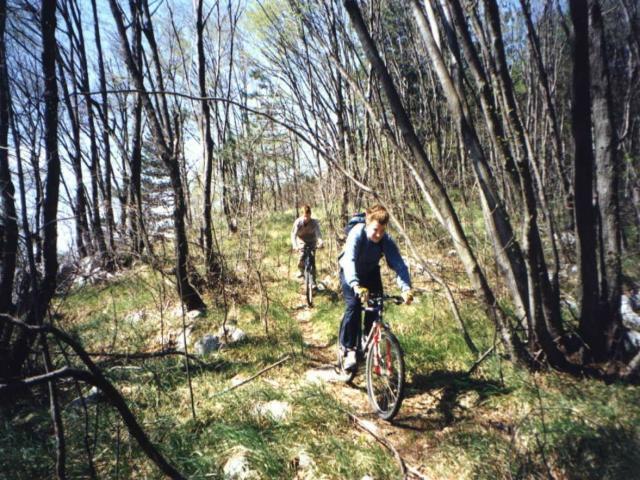 kolo5.JPG (89261 bytes)