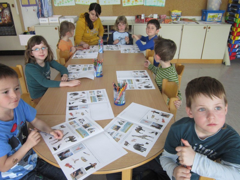 cicivesela šola.JPG