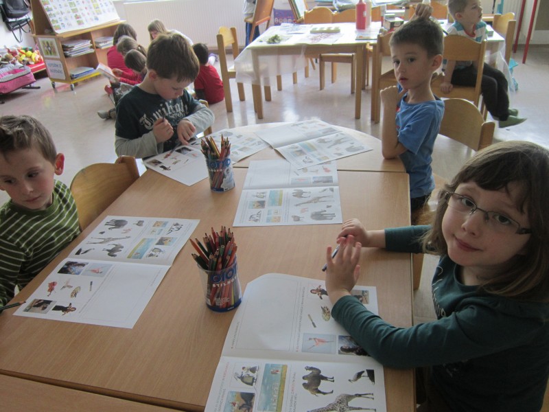 cicivesela šola2.JPG