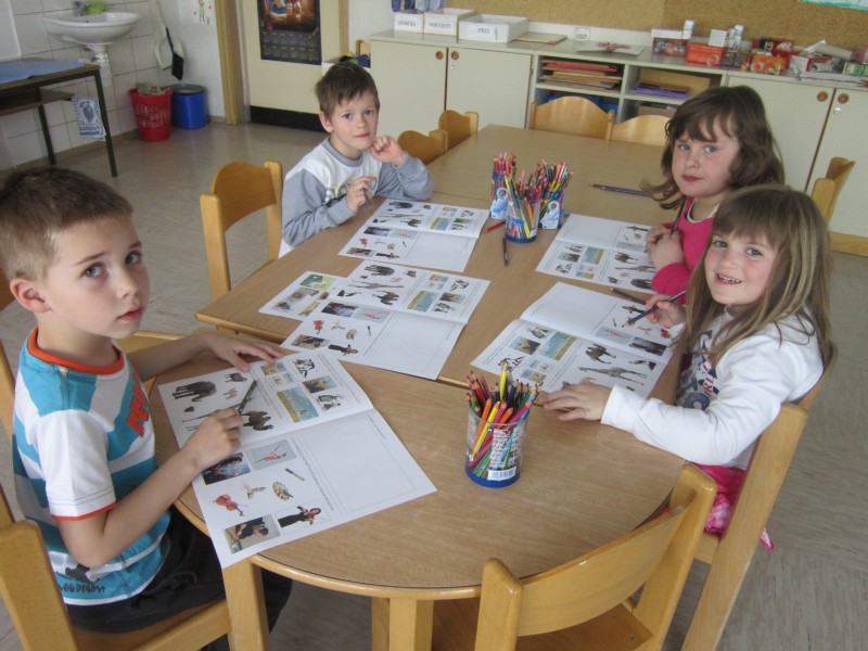 cicivesela šola3.JPG