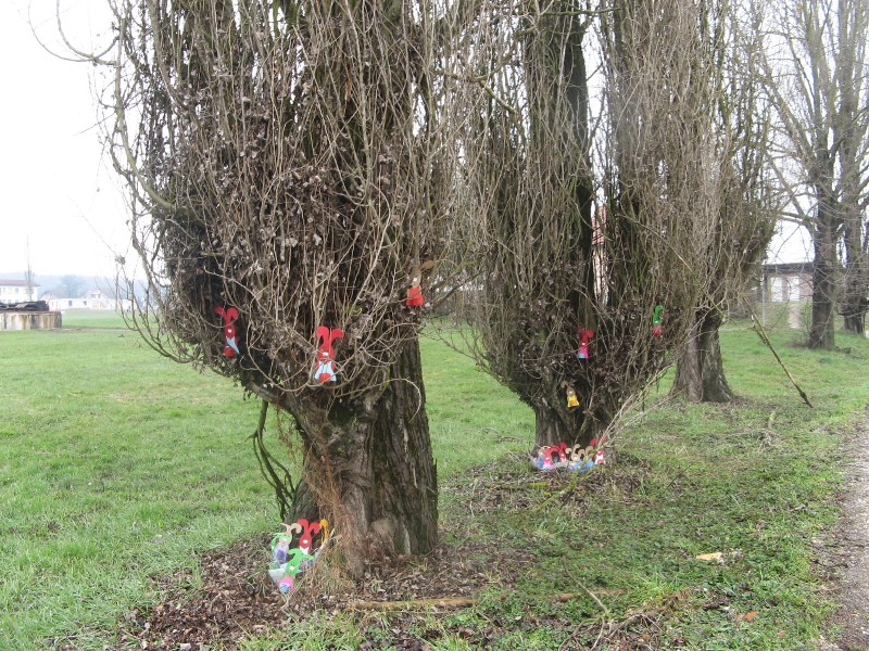 iskanje zajčkovega presenečenja (5).JPG