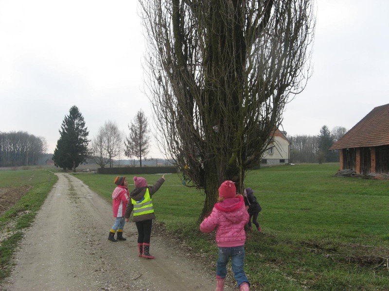 iskanje zajčkovega presenečenja (56).JPG