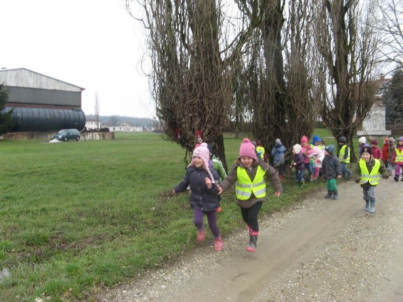 iskanje zajčkovega presenečenja (7).JPG