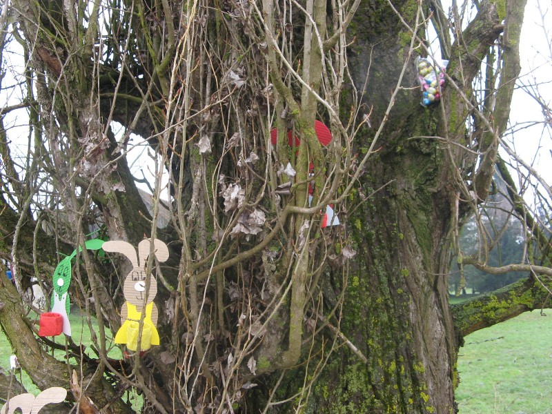 iskanje zajčkovega presenečenja (21).JPG