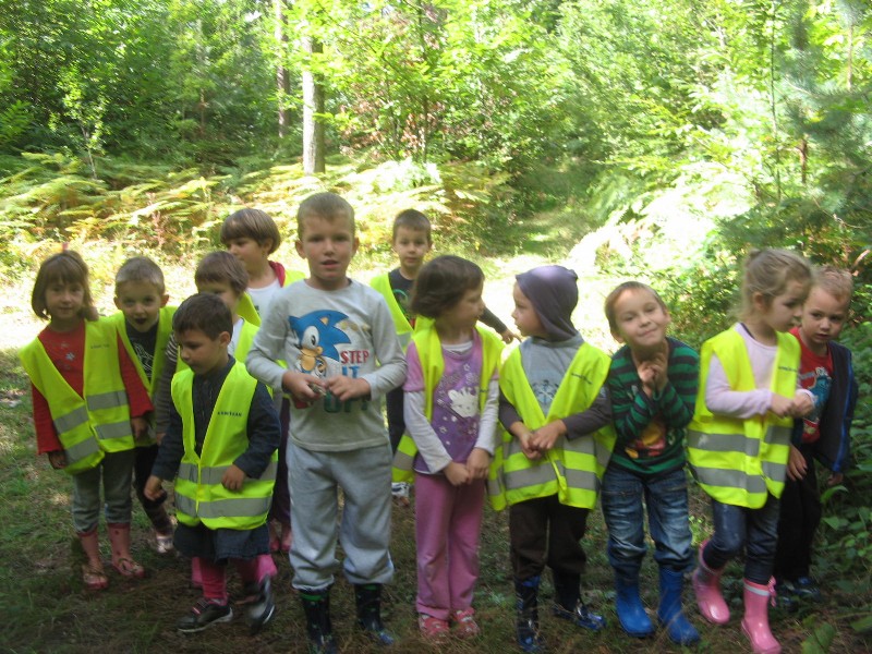 sprehod v gozd (2).JPG