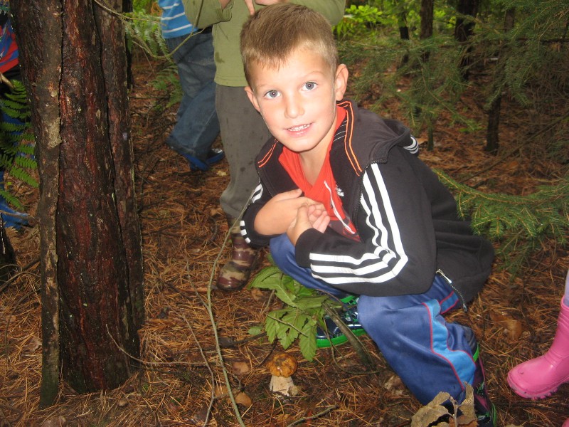 sprehod v gozd (18).JPG