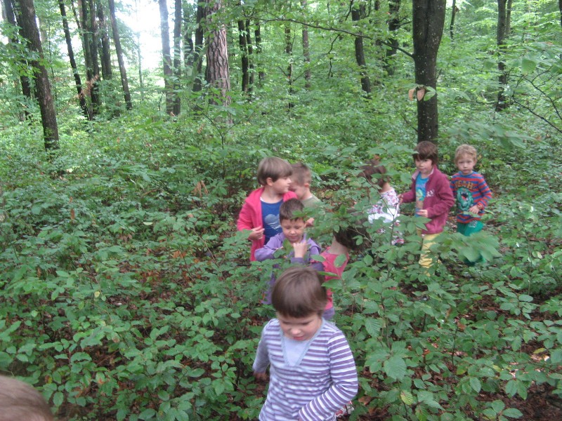 sprehod v gozd (31).JPG