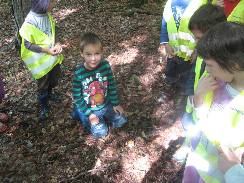 sprehod v gozd (7).JPG