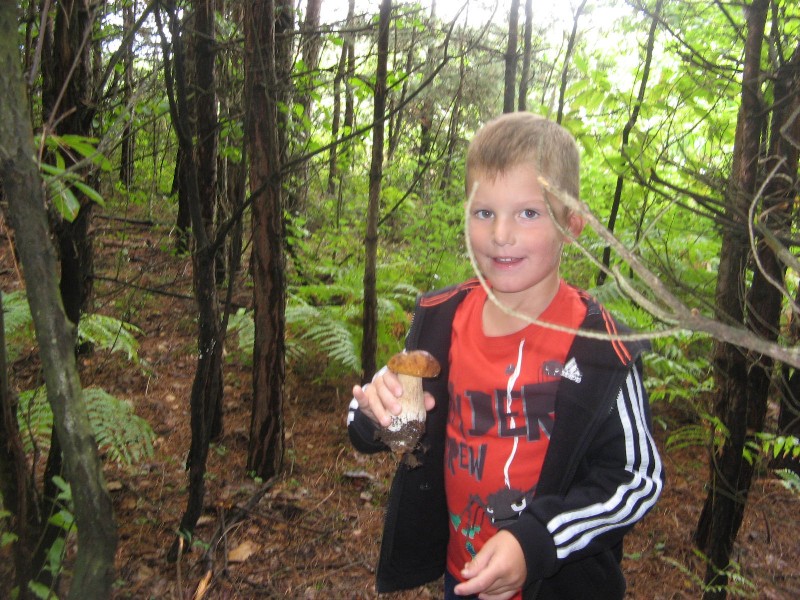 sprehod v gozd (9).JPG