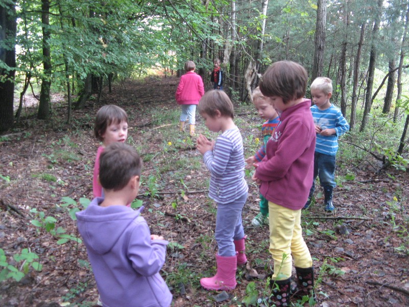 sprehod v gozd (10).JPG