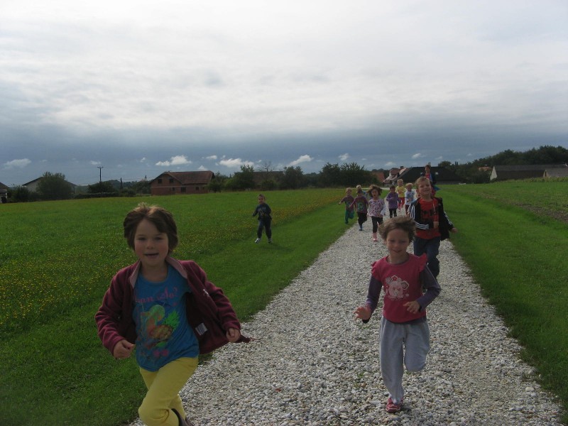 sprehod v gozd (11).JPG