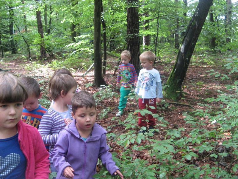 sprehod v gozd (13).JPG