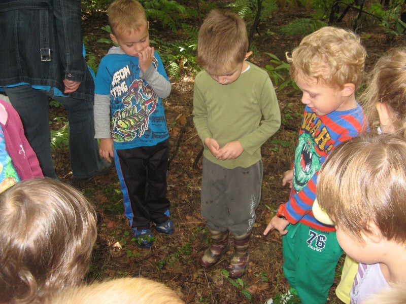 sprehod v gozd (17).JPG