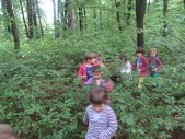 sprehod v gozd (31).JPG
