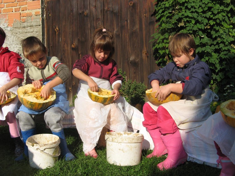 pri Kocbekovih (20).JPG