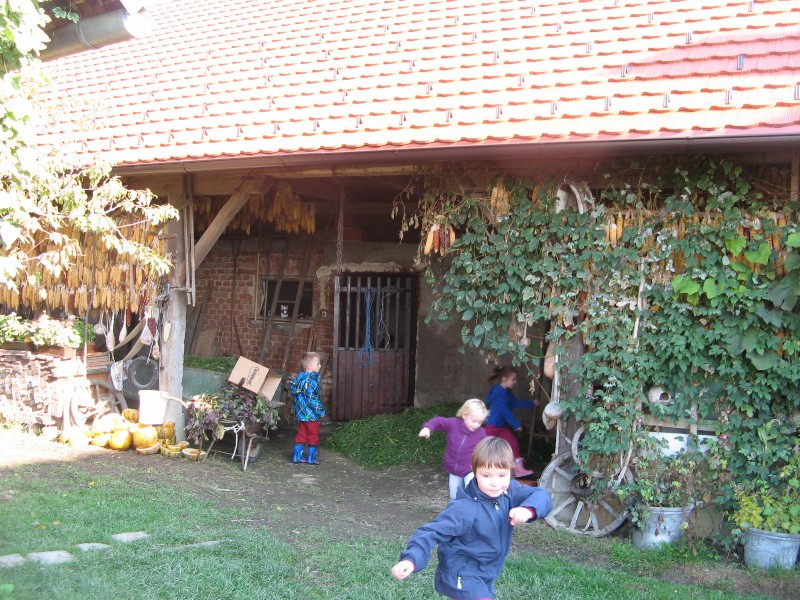 pri Kocbekovih (5).JPG