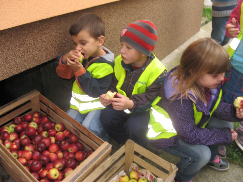 obisk pri Kocbekovih (25).JPG