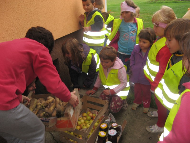 obisk pri Kocbekovih (32).JPG