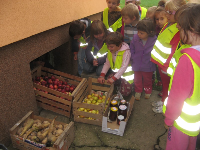 obisk pri Kocbekovih (34).JPG