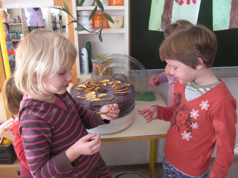 poskušanje suhega sadja.JPG