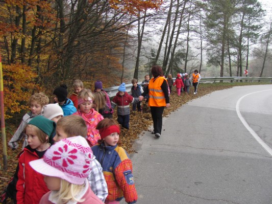 zlati sonček 11.JPG