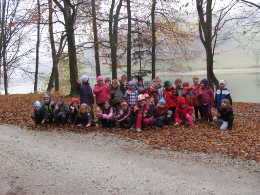 zlati sonček 12.JPG