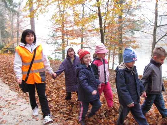 zlati sonček 14.JPG