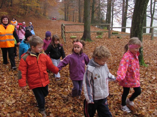 zlati sonček 15.JPG