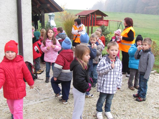 zlati sonček 16.JPG