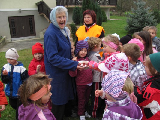 zlati sonček 17.JPG