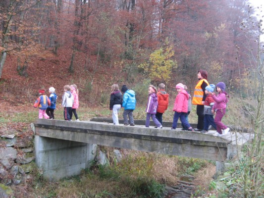 zlati sonček 19.JPG