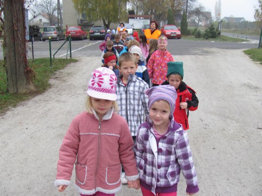 zlati sonček 02.JPG