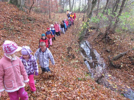 zlati sonček 20.JPG