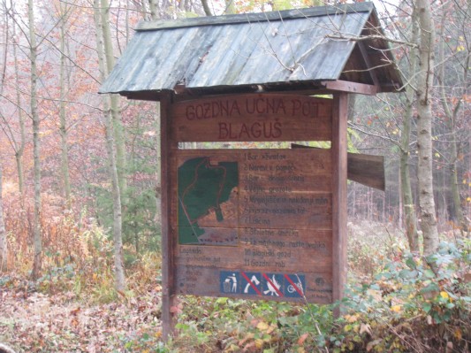 zlati sonček 21.JPG