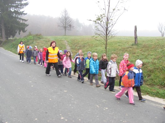 zlati sonček 03.JPG