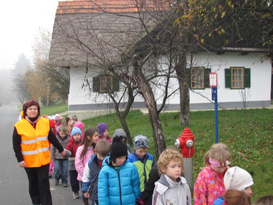 zlati sonček 04.JPG