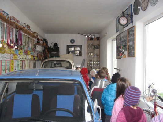 zlati sonček 05.JPG