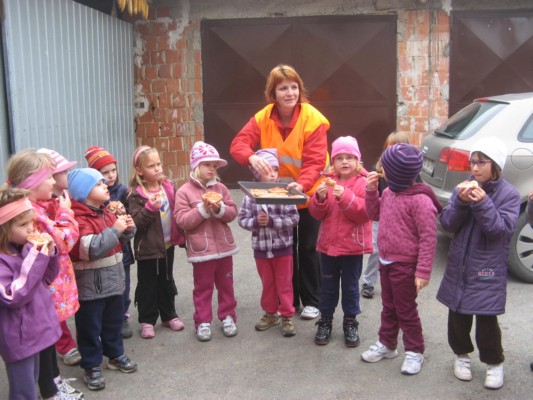 zlati sonček 07.JPG