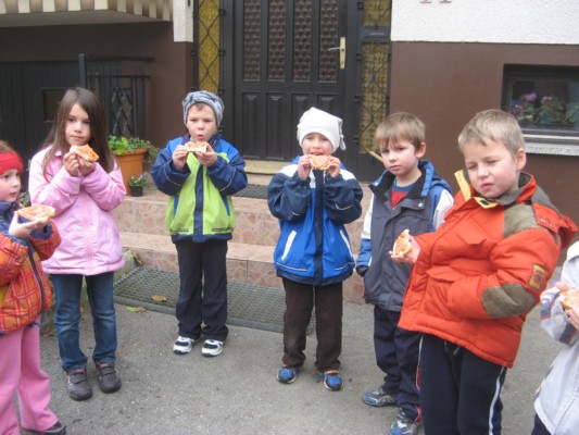 zlati sonček 08.JPG