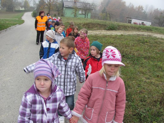 zlati sonček 09.JPG